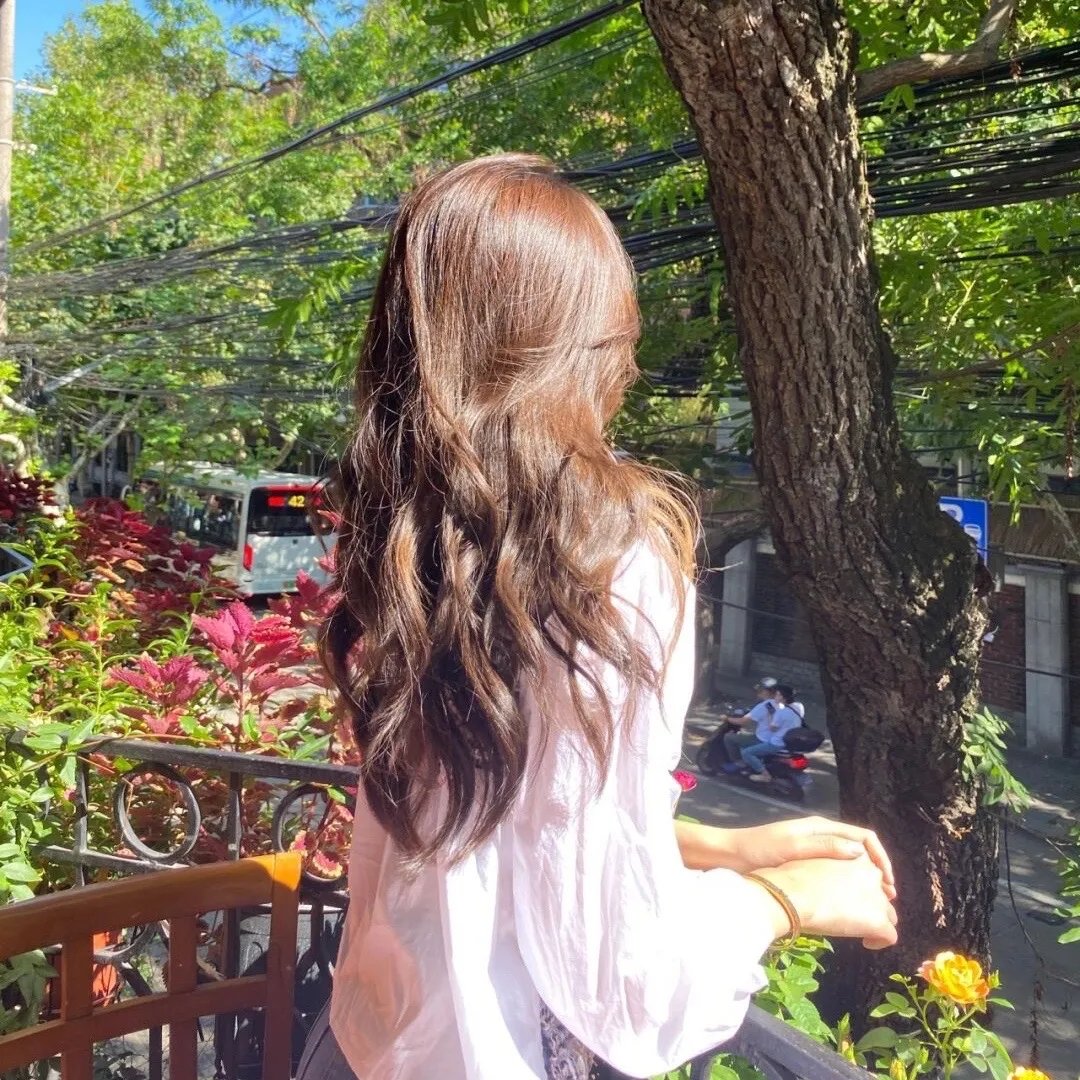 凡妮莎海辛第五季